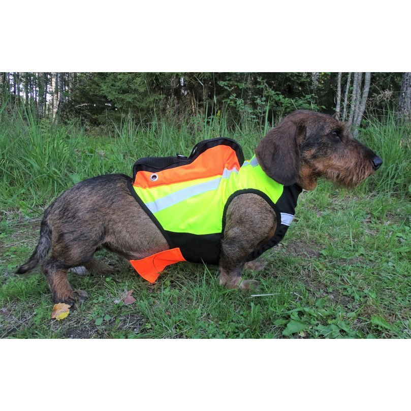 GPS-huomioliivi Inari, Kardog