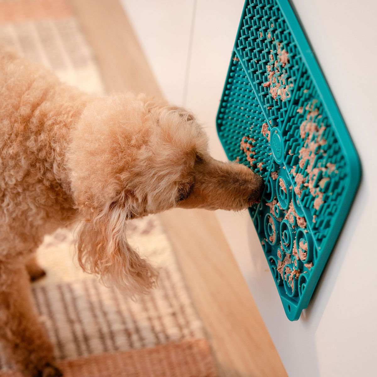 Basic nuolumatto neliö