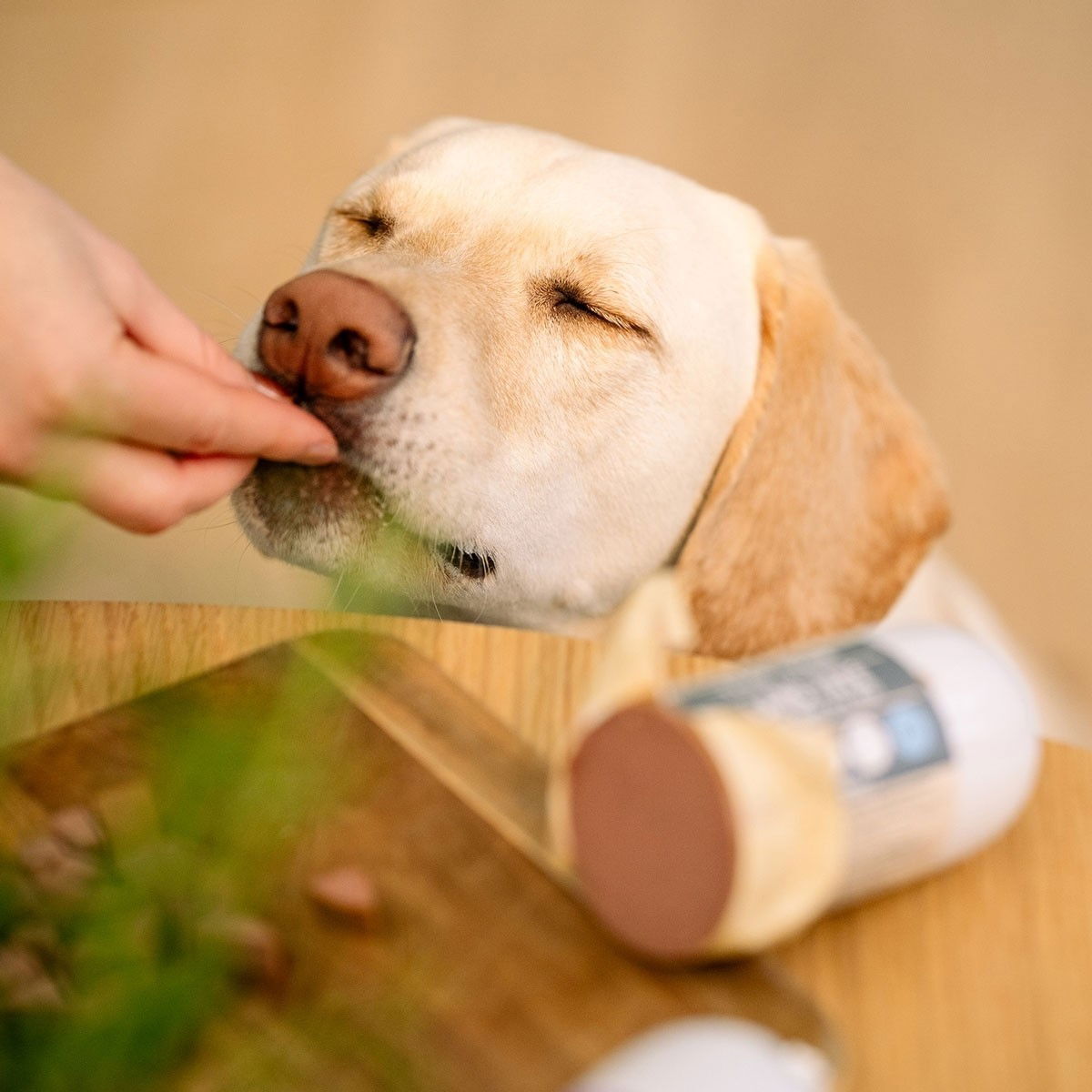 Trick&Treat Paté Treenimakkara Lammas