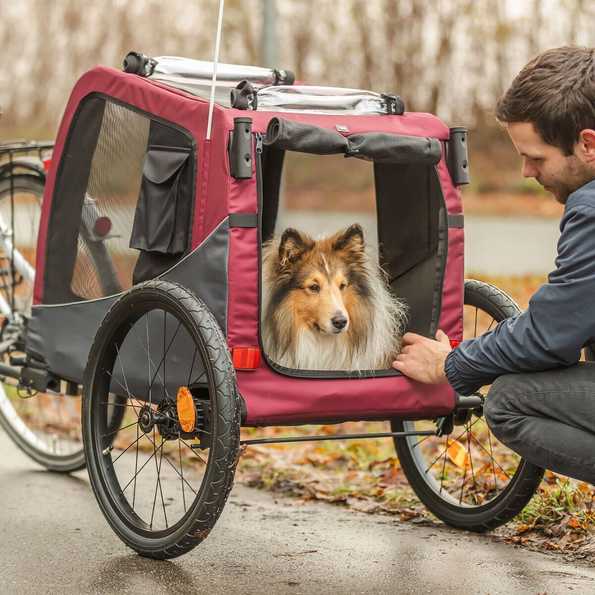 Trixie Bicycle trailer harmaa/punainen