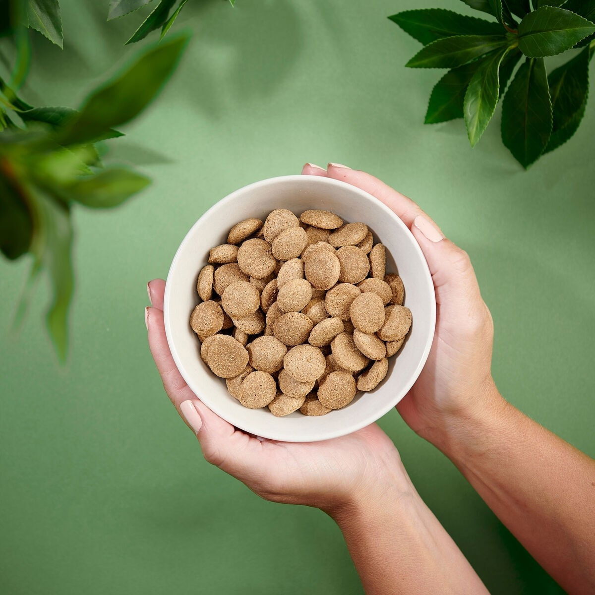 Purenatural Dog Adult Large