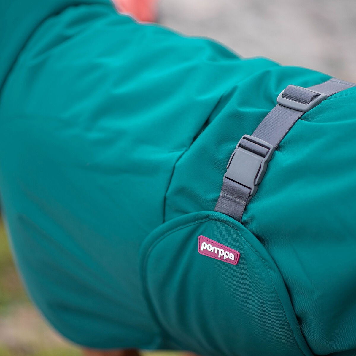 PerusPomppa for harness Forest