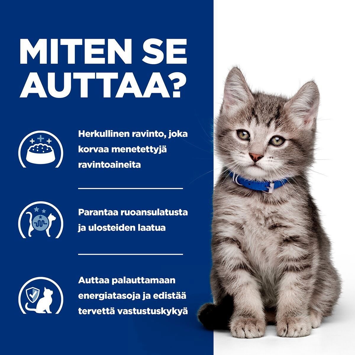 Hill's Prescription Diet Kitten i/d