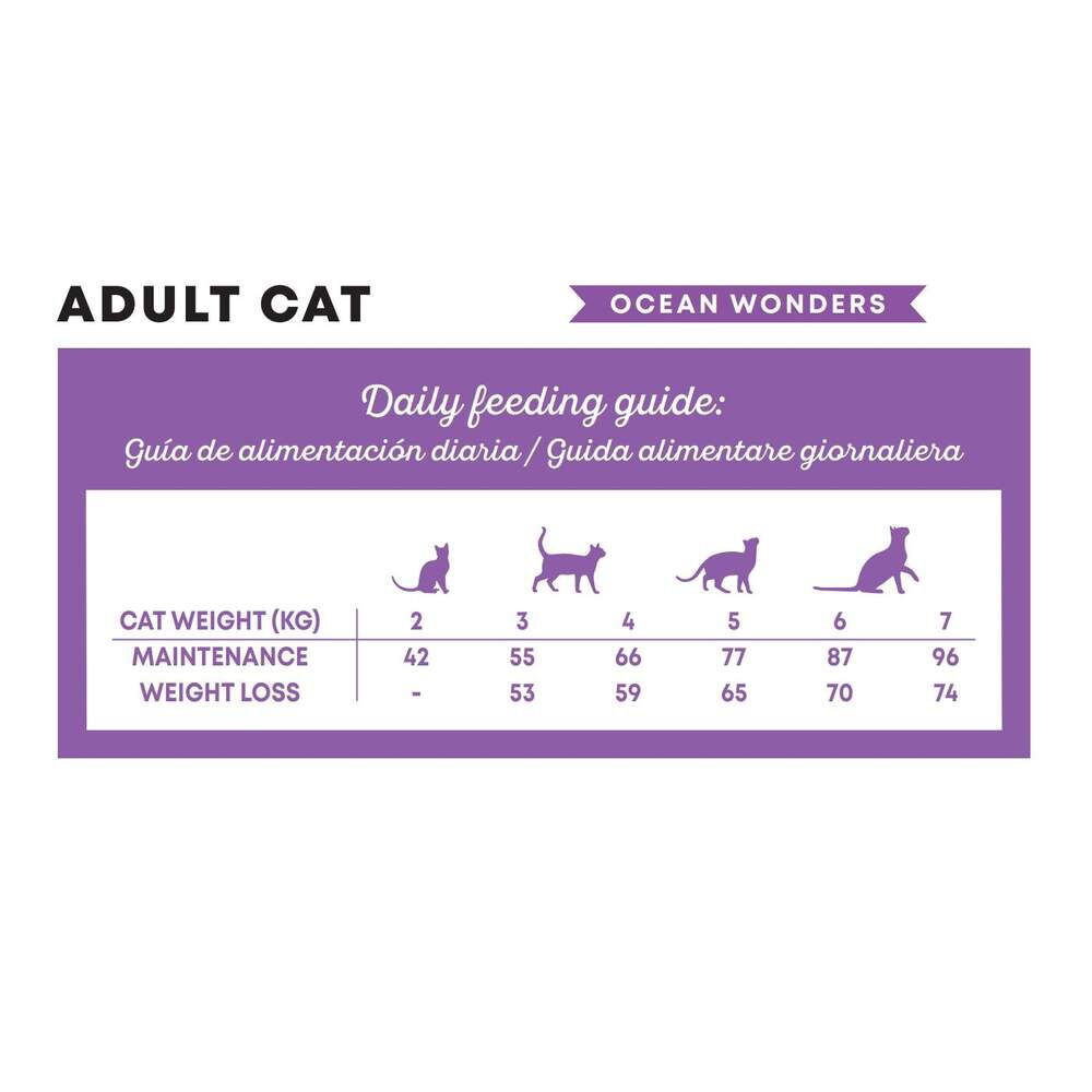 Harper and Bone Cat Adult Ocean Wonders