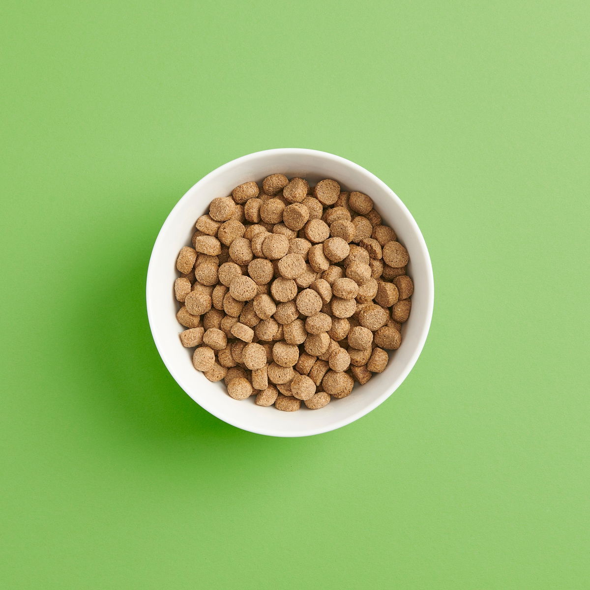 SMAAK seniori & kevyt koiran kanaruoka 