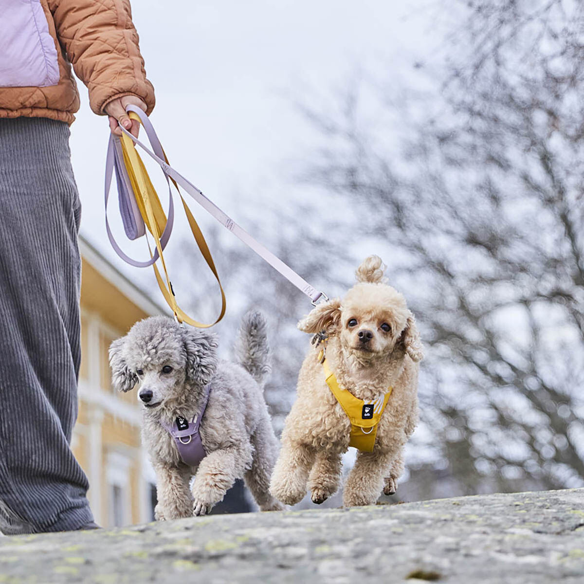 Hurtta Seeker Standard talutin 180*15