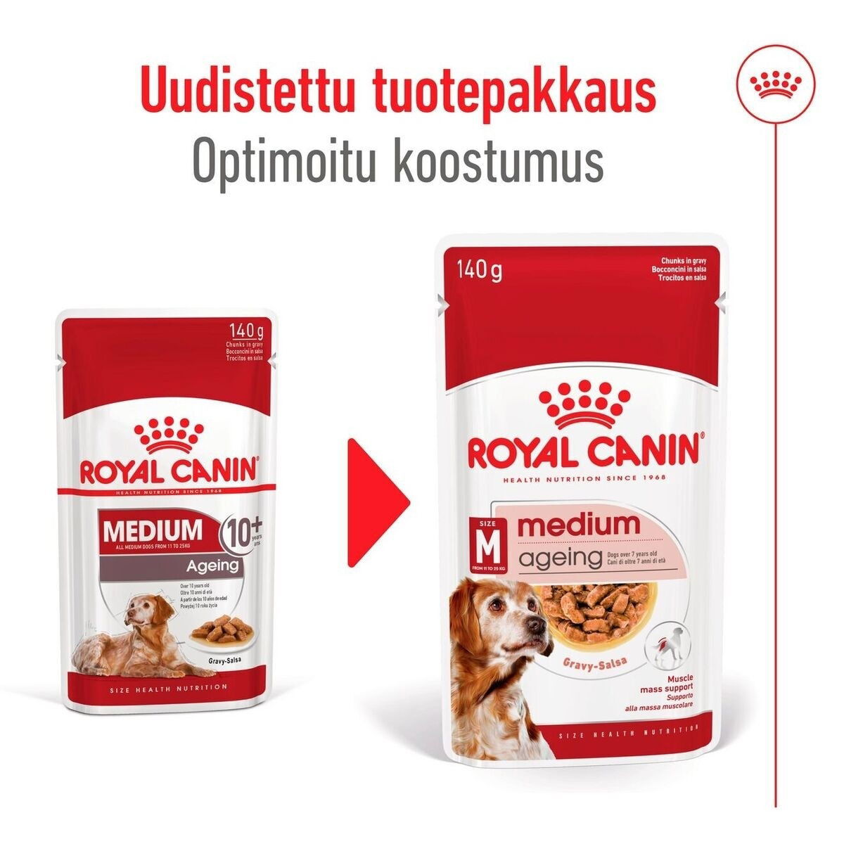 Royal Canin Medium Ageing Gravy koiran märkäruoka