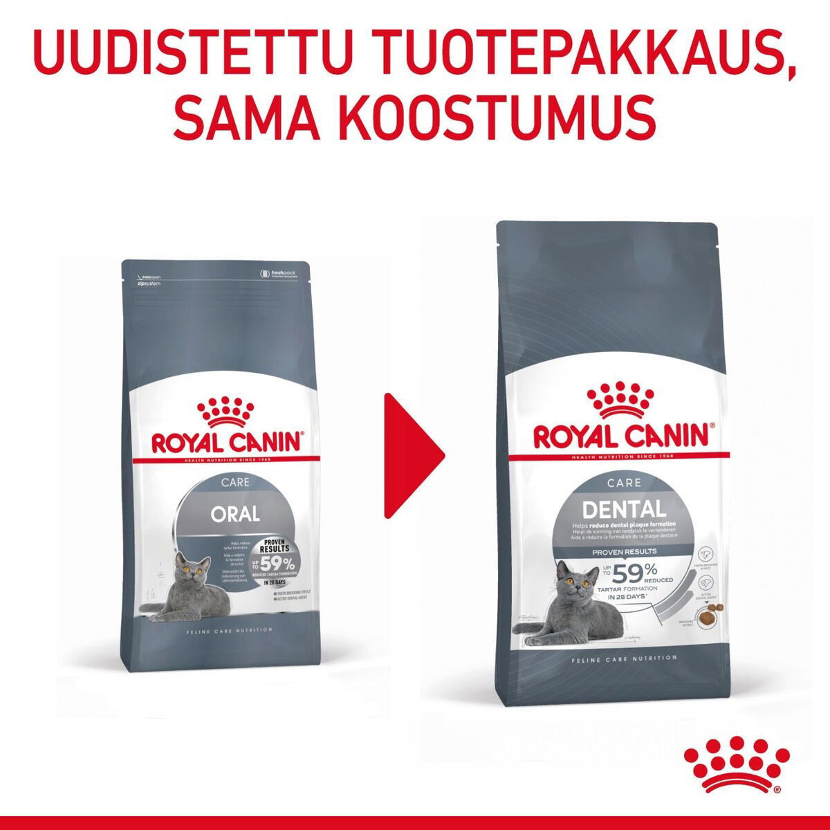 Royal Canin Dental Care Adult kissan kuivaruoka
