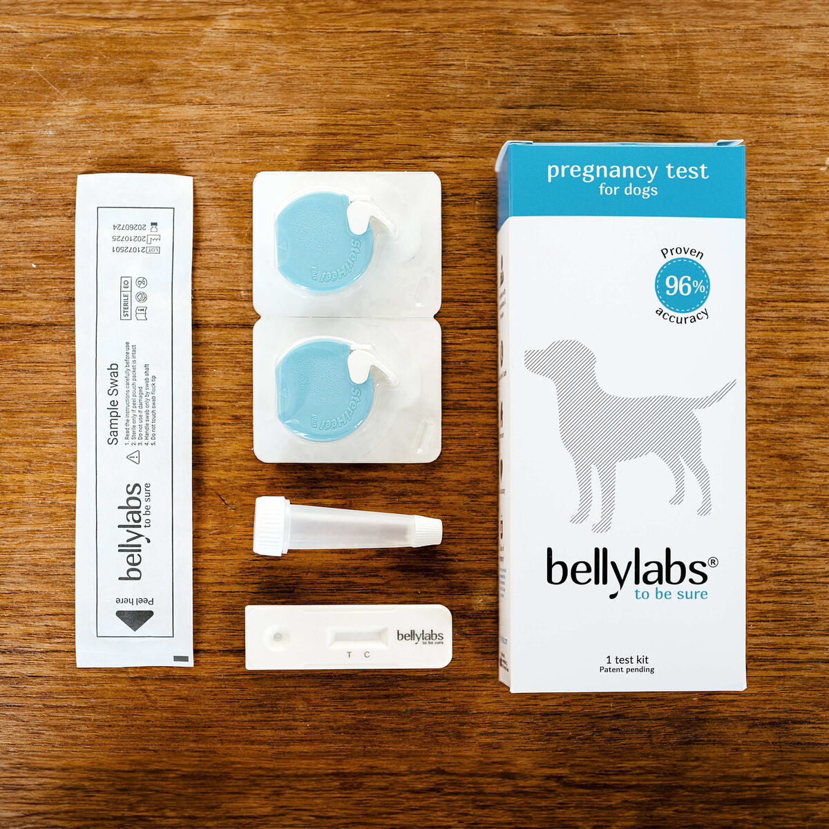Bellylabs koirien tiineystesti