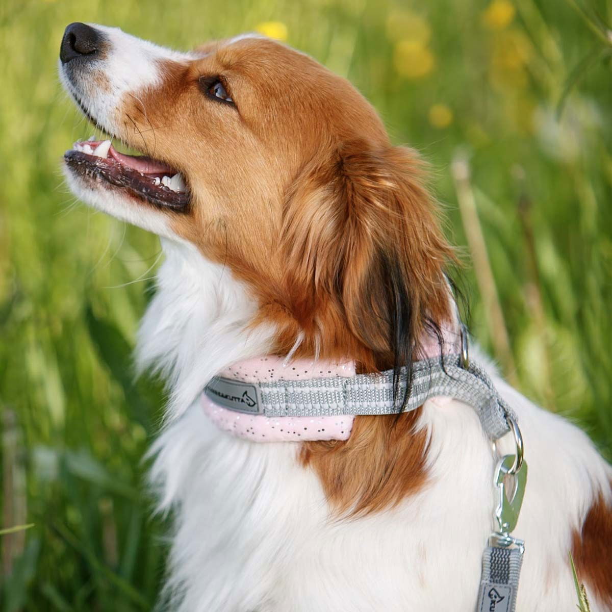 Kusse & Kutta half choke collar, sparkle lightpink