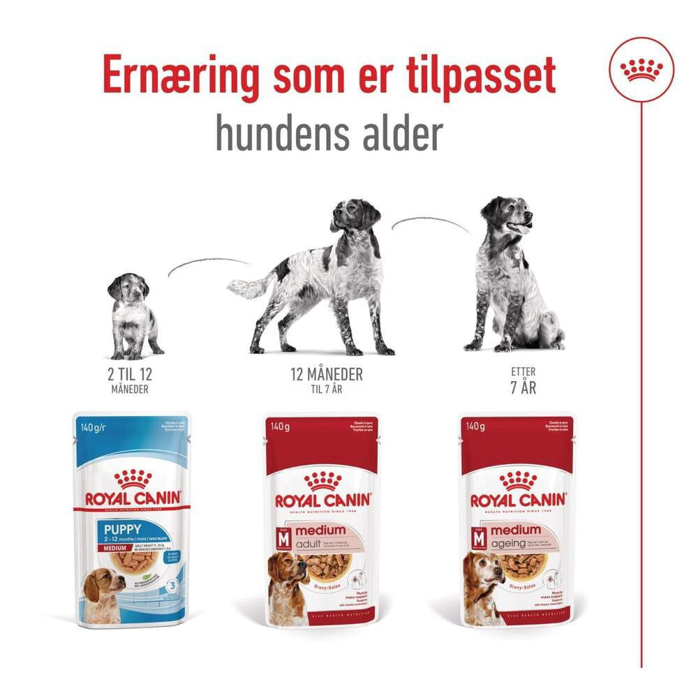 Royal Canin Medium Ageing Gravy koiran märkäruoka