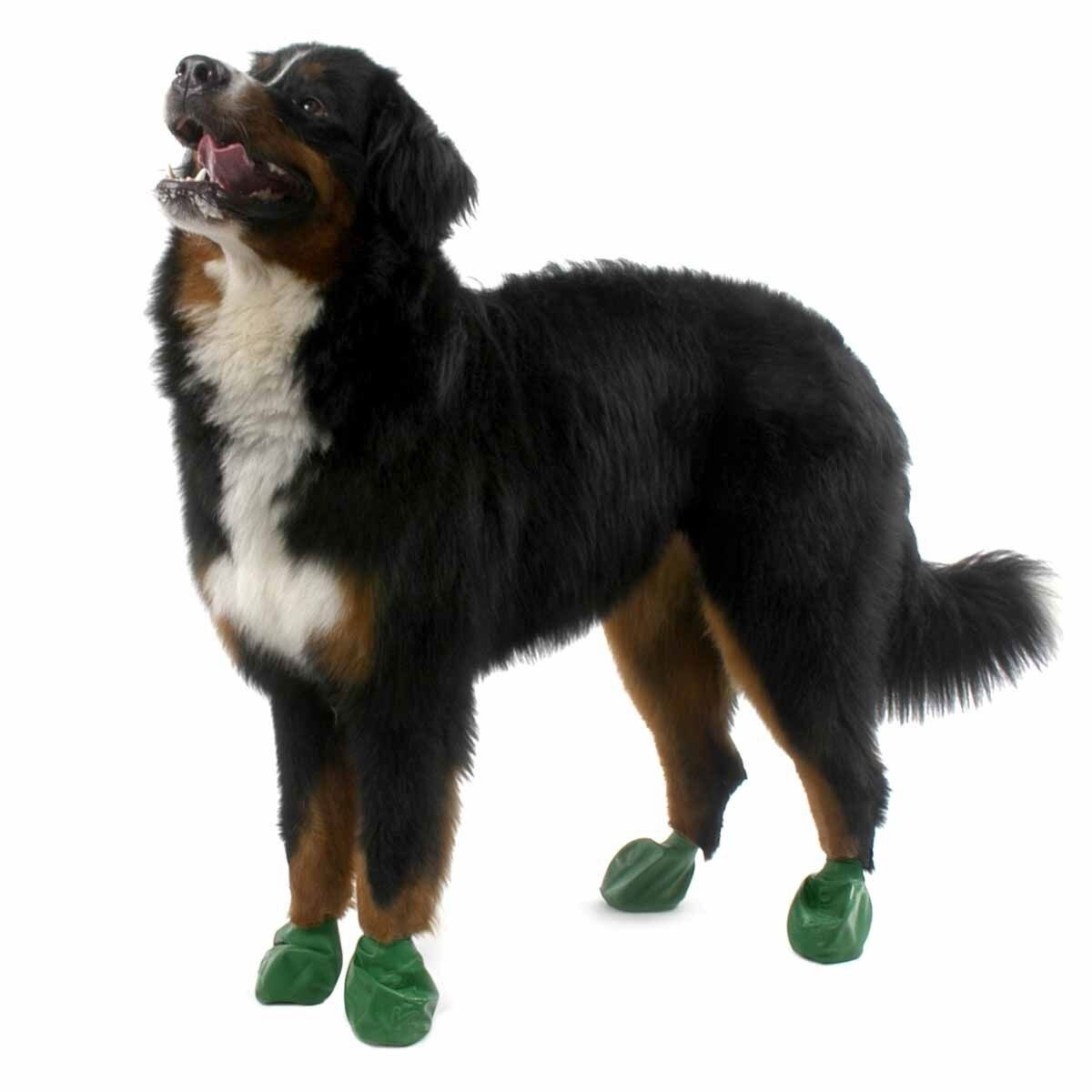 PawZ dog rubber boots color 12pcs