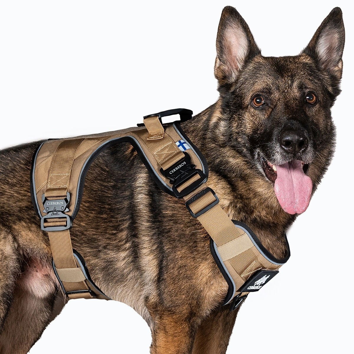 Cerberos Active valjaat hiekan ruskea