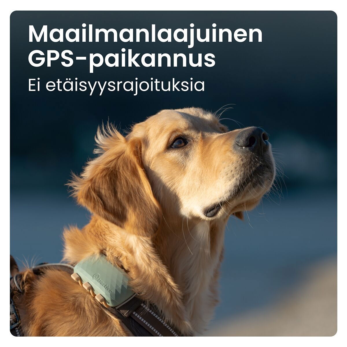 Tractive for DOG XL GPS