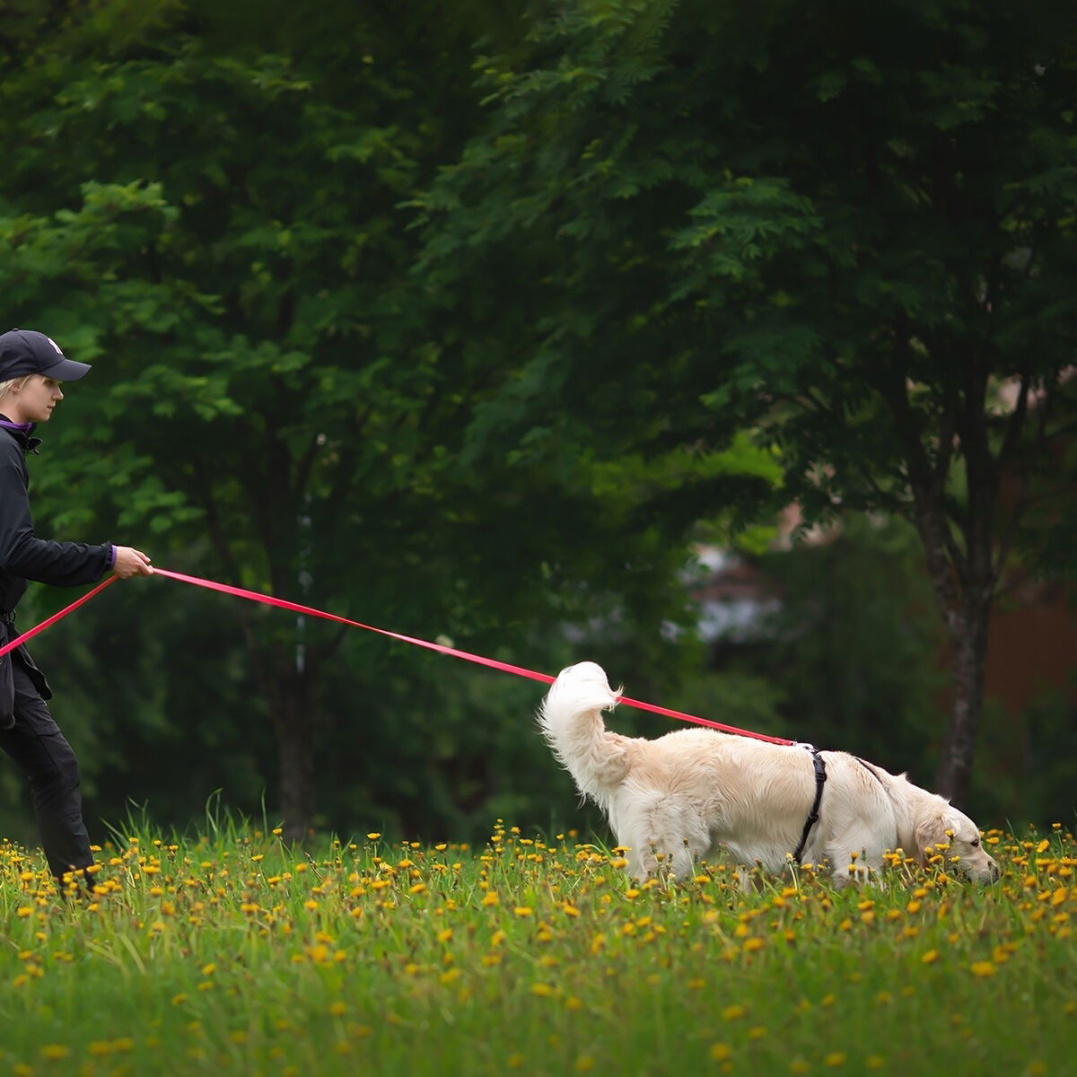 Treeniliina Tyylivoitto Working 6m, oranssi