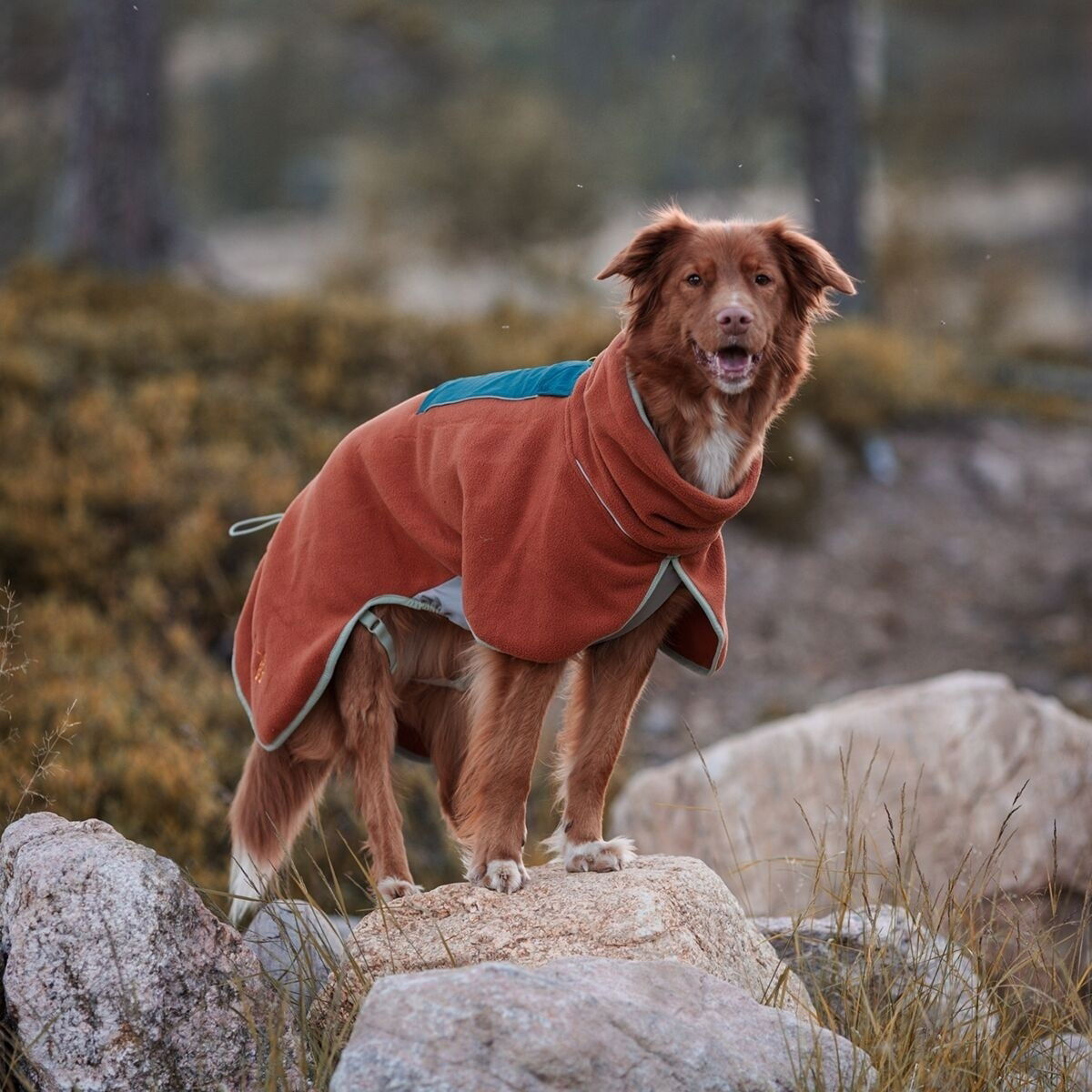 Woolly Wolf Alpha 360 Fleece pullover, Terracotta Mix