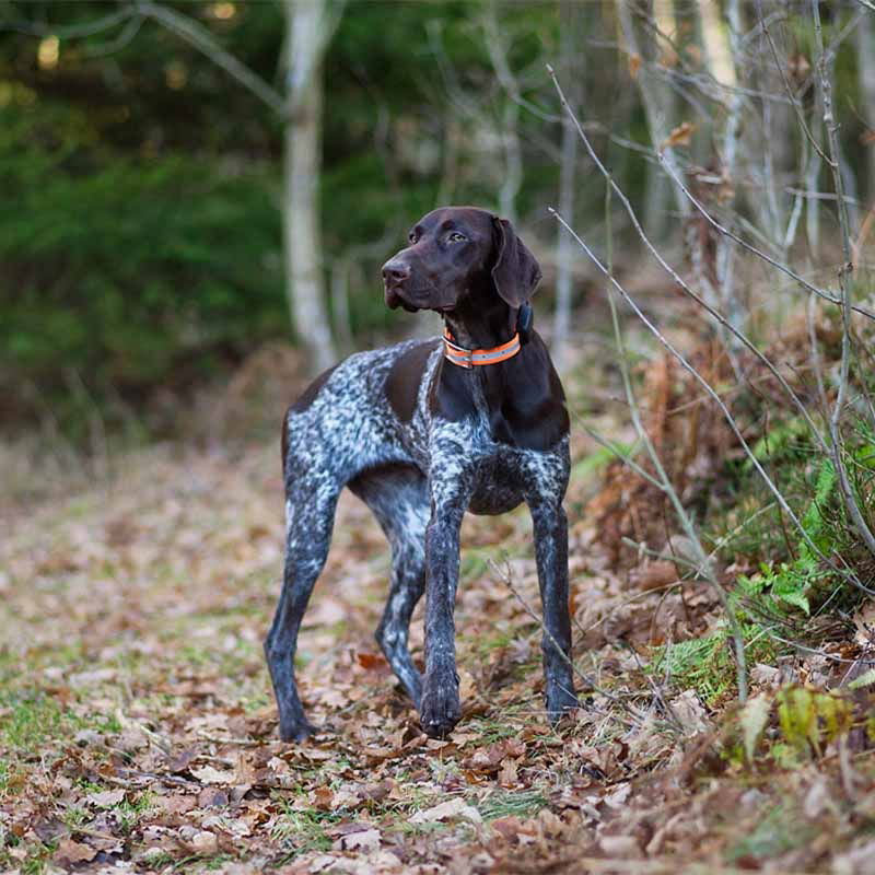 MiniFinder Atto Pro GPS-paikannin