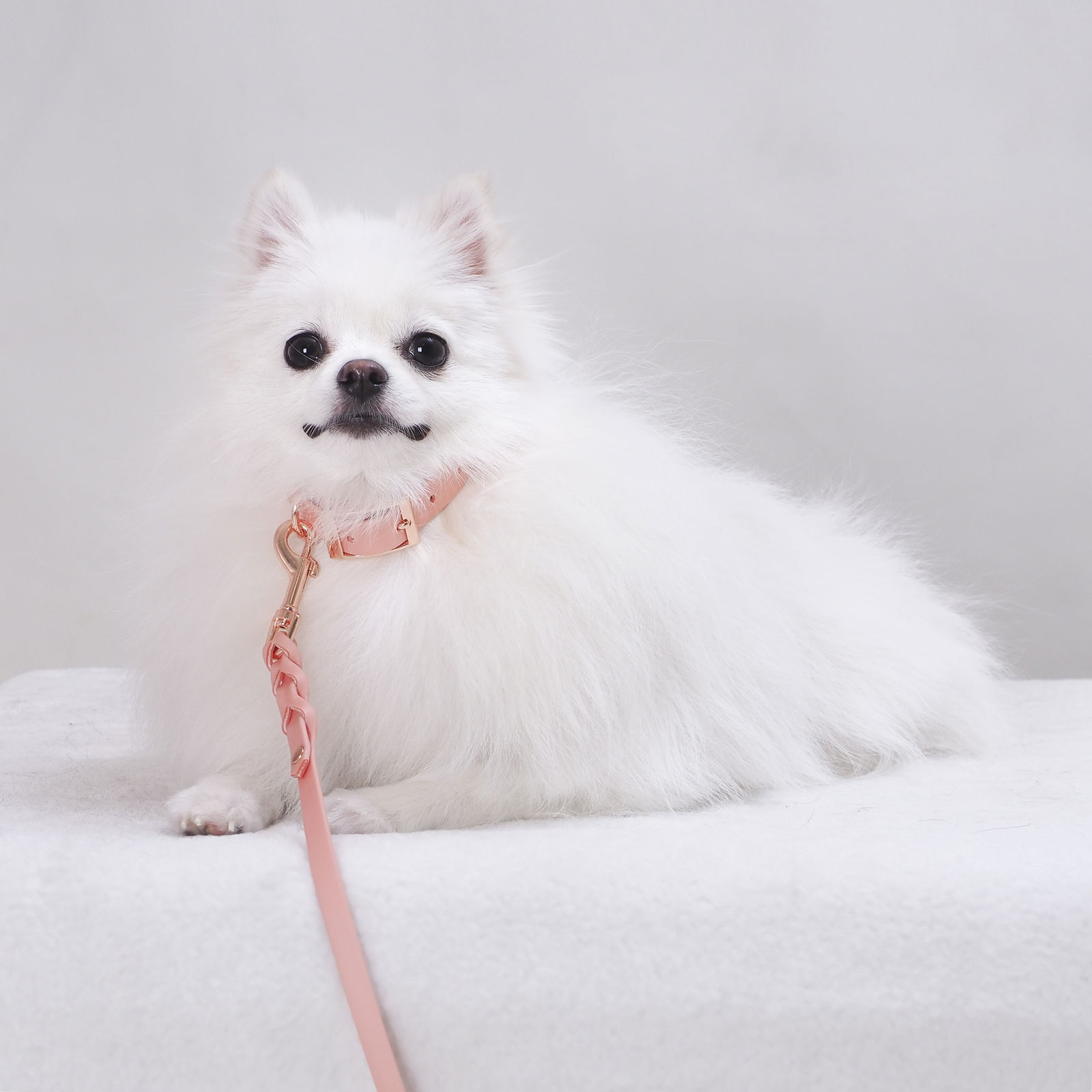 Tyylivoitto Classy narrow collar, peach/rosegold