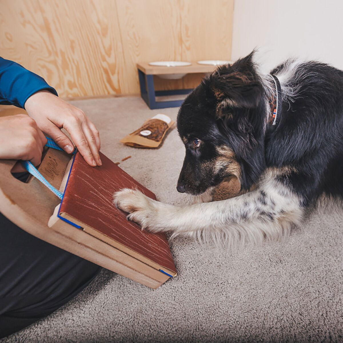 Loype Mani-Pedi Dog Scratcher