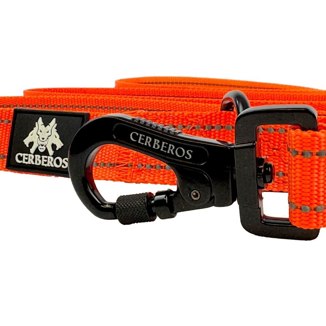 Cerberos Dog talutin oranssi 3m