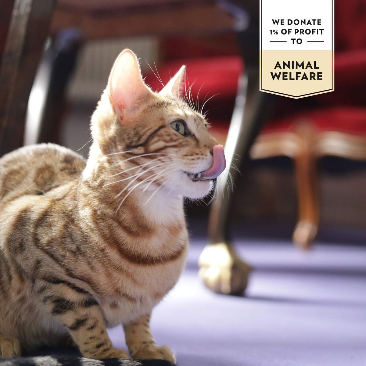 Prima Cat Saftig Kycklingfilé