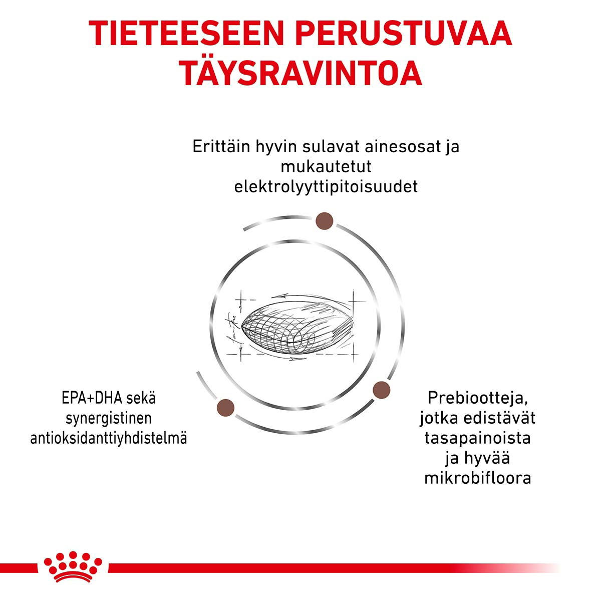 Royal Canin Veterinary Diets Gastrointestinal Hairball kissan kuivaruoka