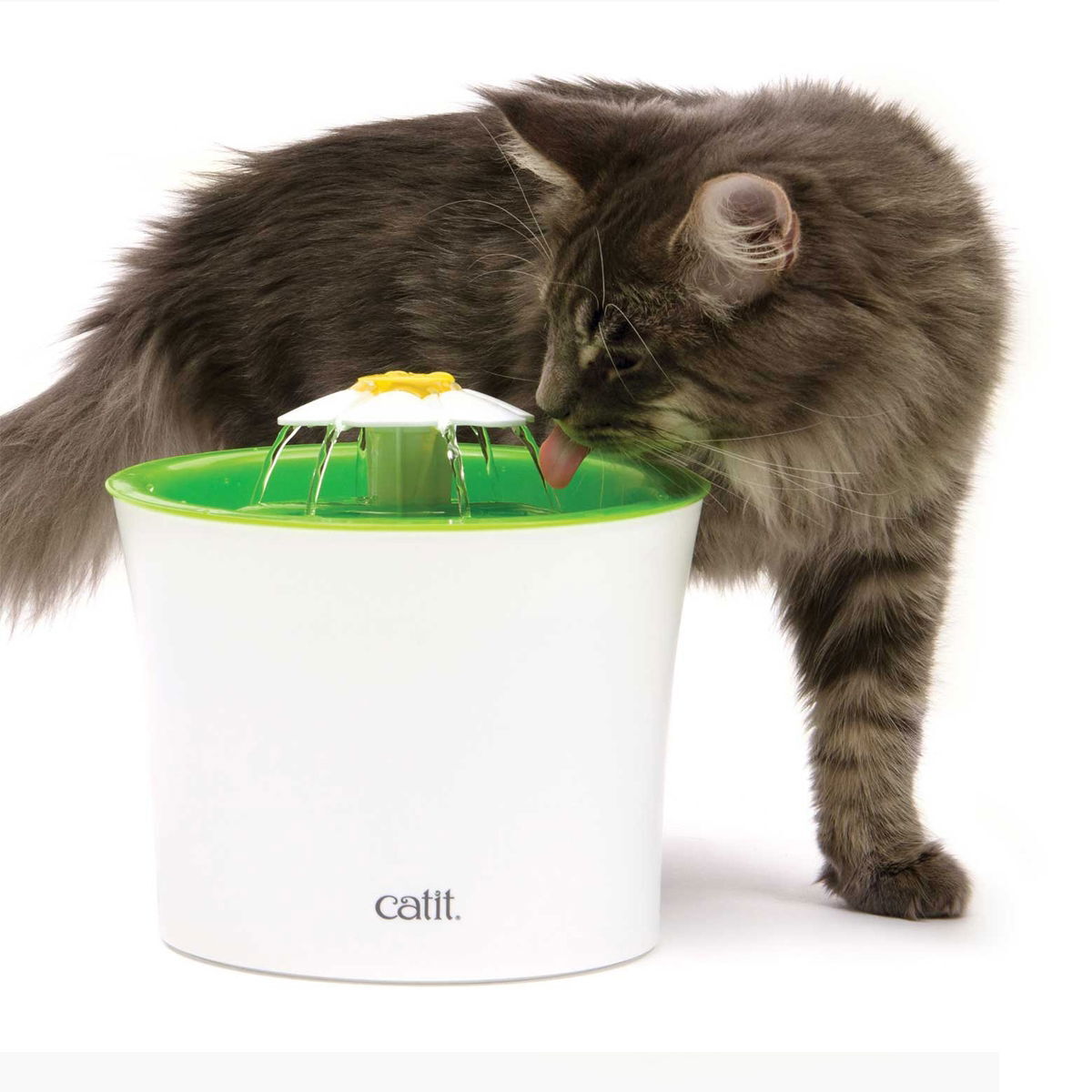 Catit 2.0 Flower Fountain