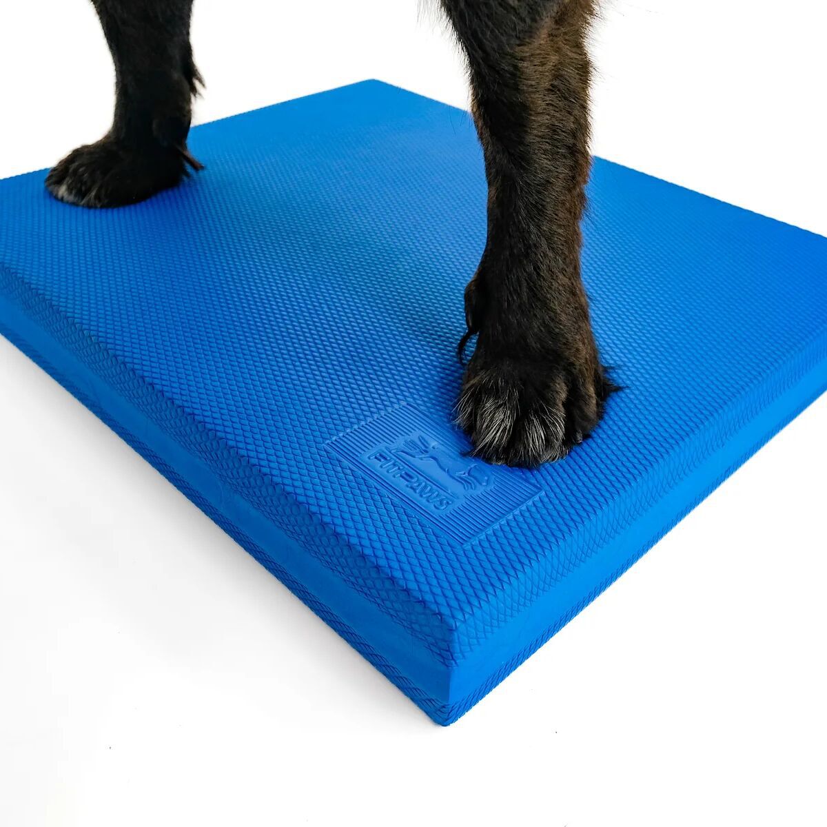 FitPaws Balance Pad