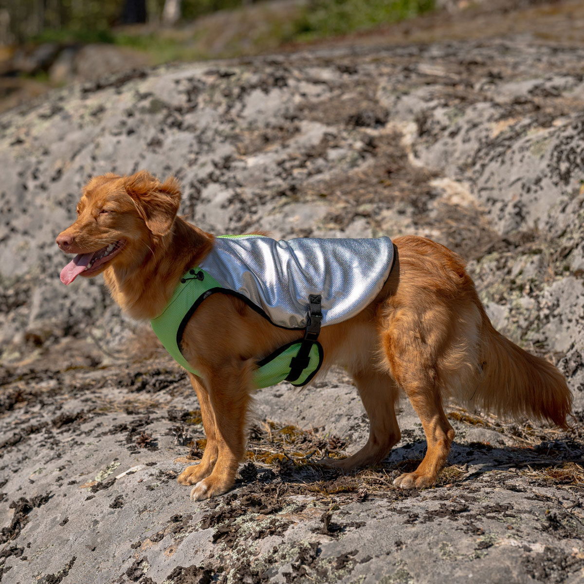 Feel Active XTR Viilennysliivi omenan vihreä