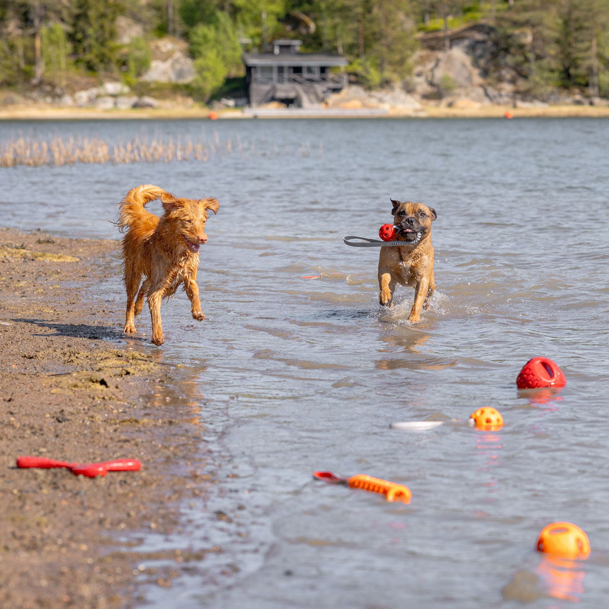 N-Gage Hydro Handler oranssi M