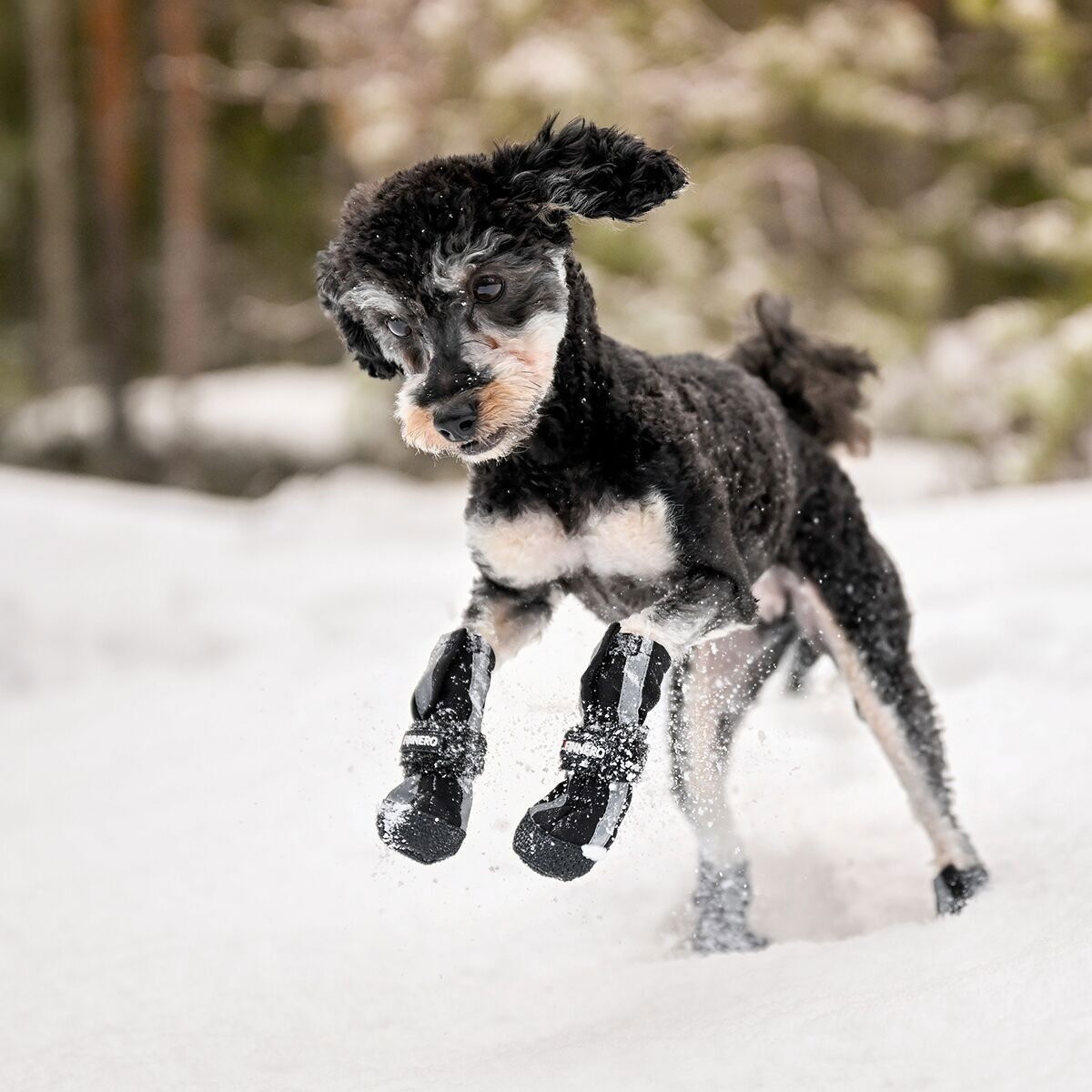 Finnero HALLA Softshell Booties 4pcs, black