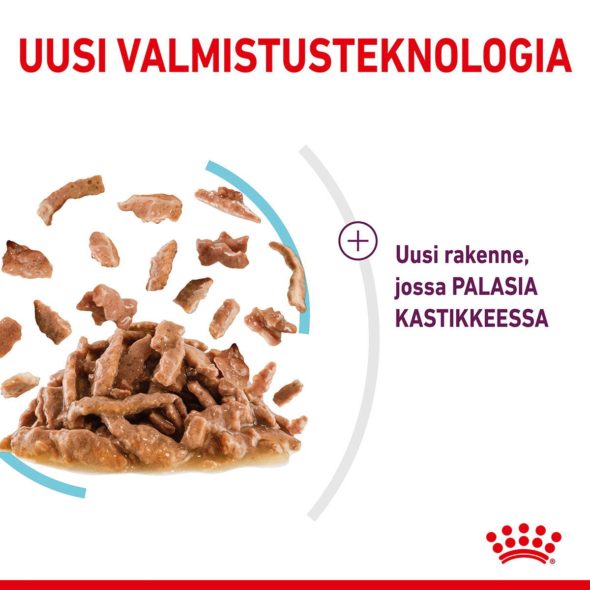 Royal Canin Sensory Feel Gravy Adult kissan märkäruoka