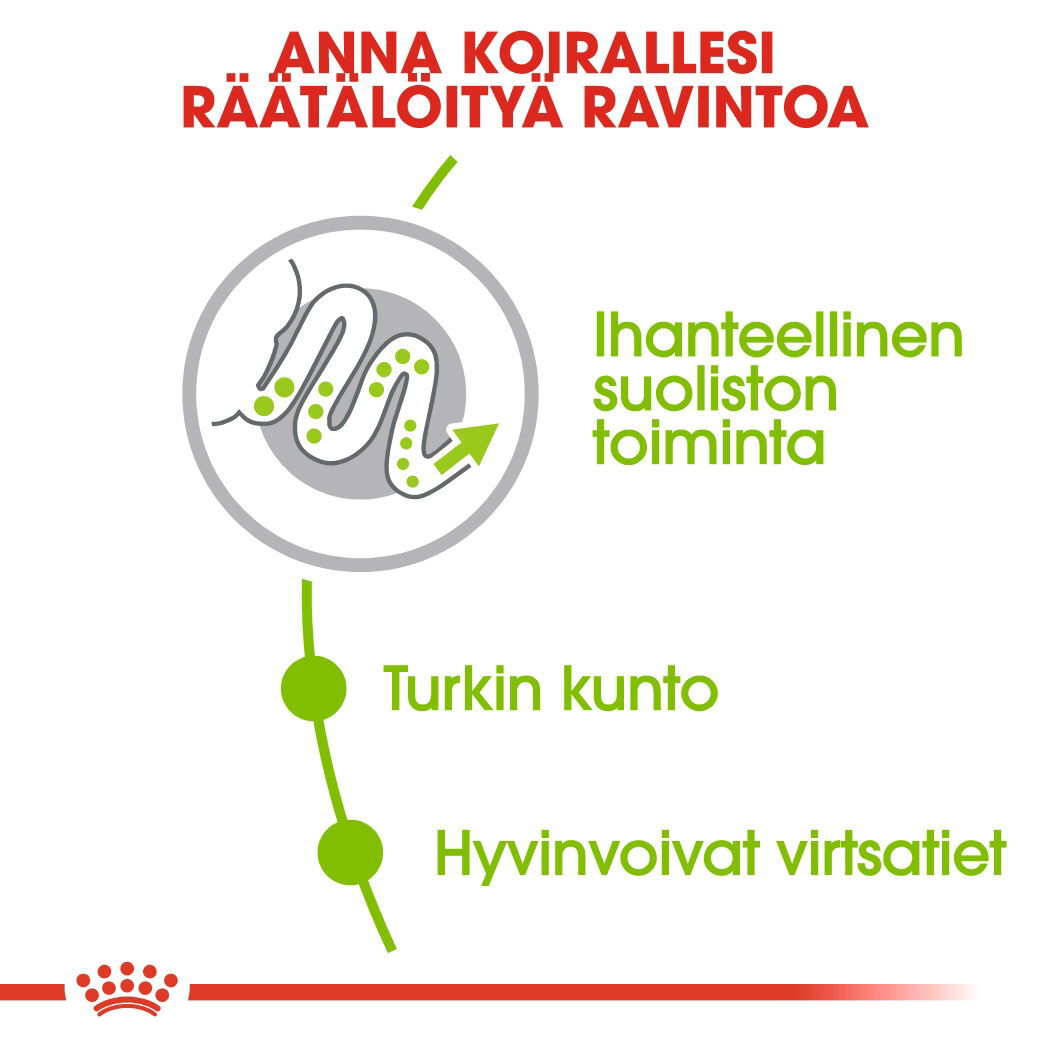 Royal Canin X-small Adult koiran kuivaruoka