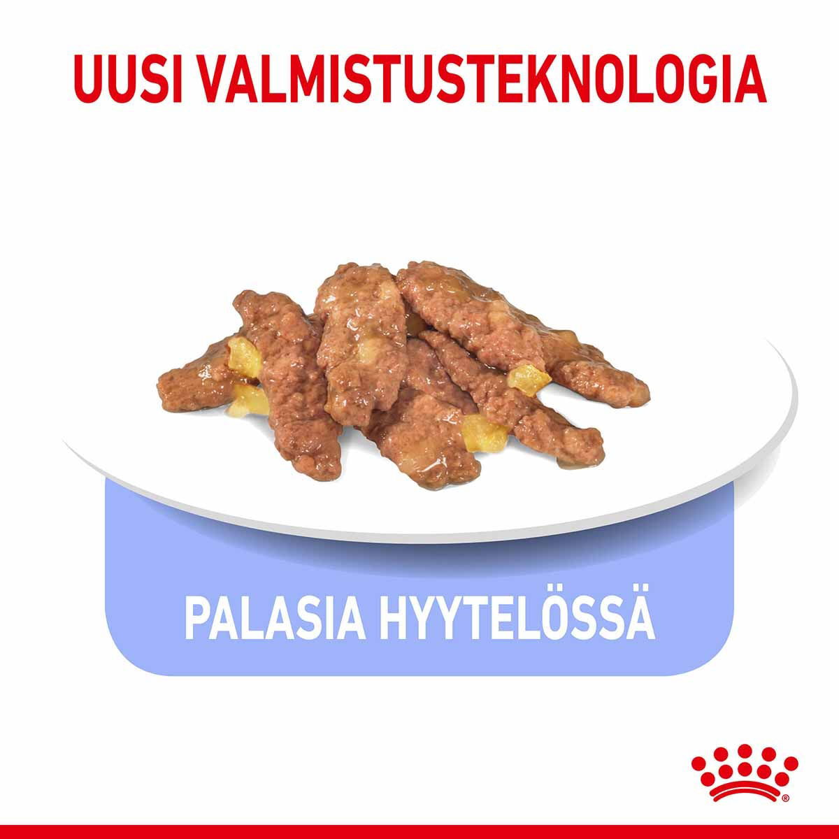 Royal Canin Indoor Sterilised Jelly Adult kissan märkäruoka