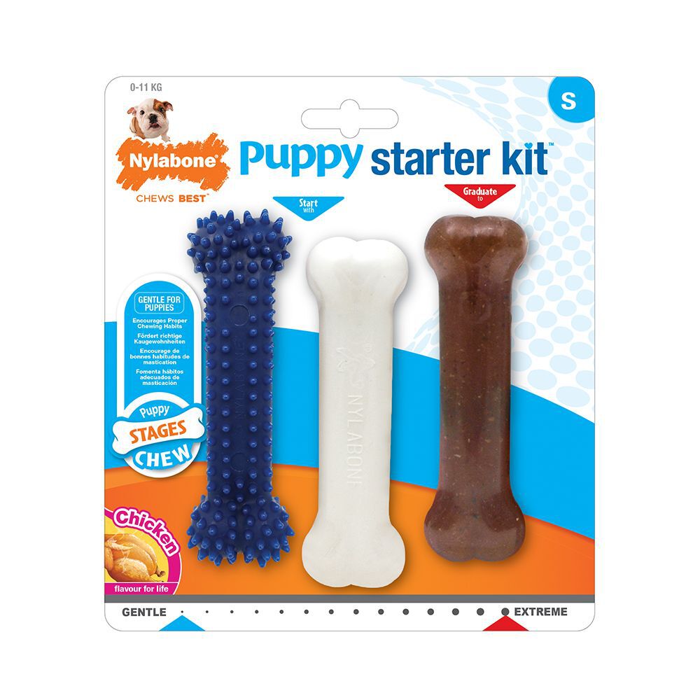 Nylabone Puppy Aloituspakkaus