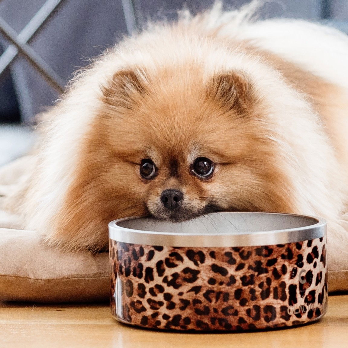 Collar of Sweden pet bowl matte black