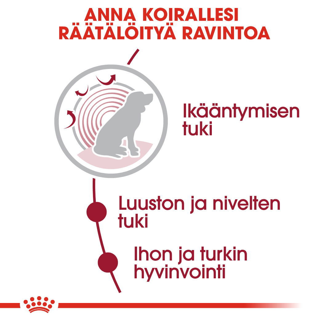 Royal Canin Medium Ageing Gravy koiran märkäruoka