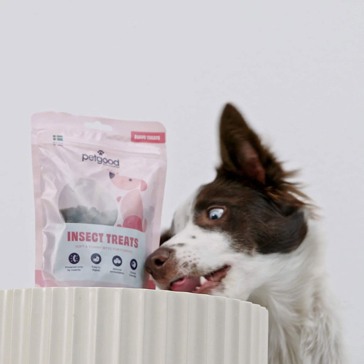 Petgood Puppy Treats 100g