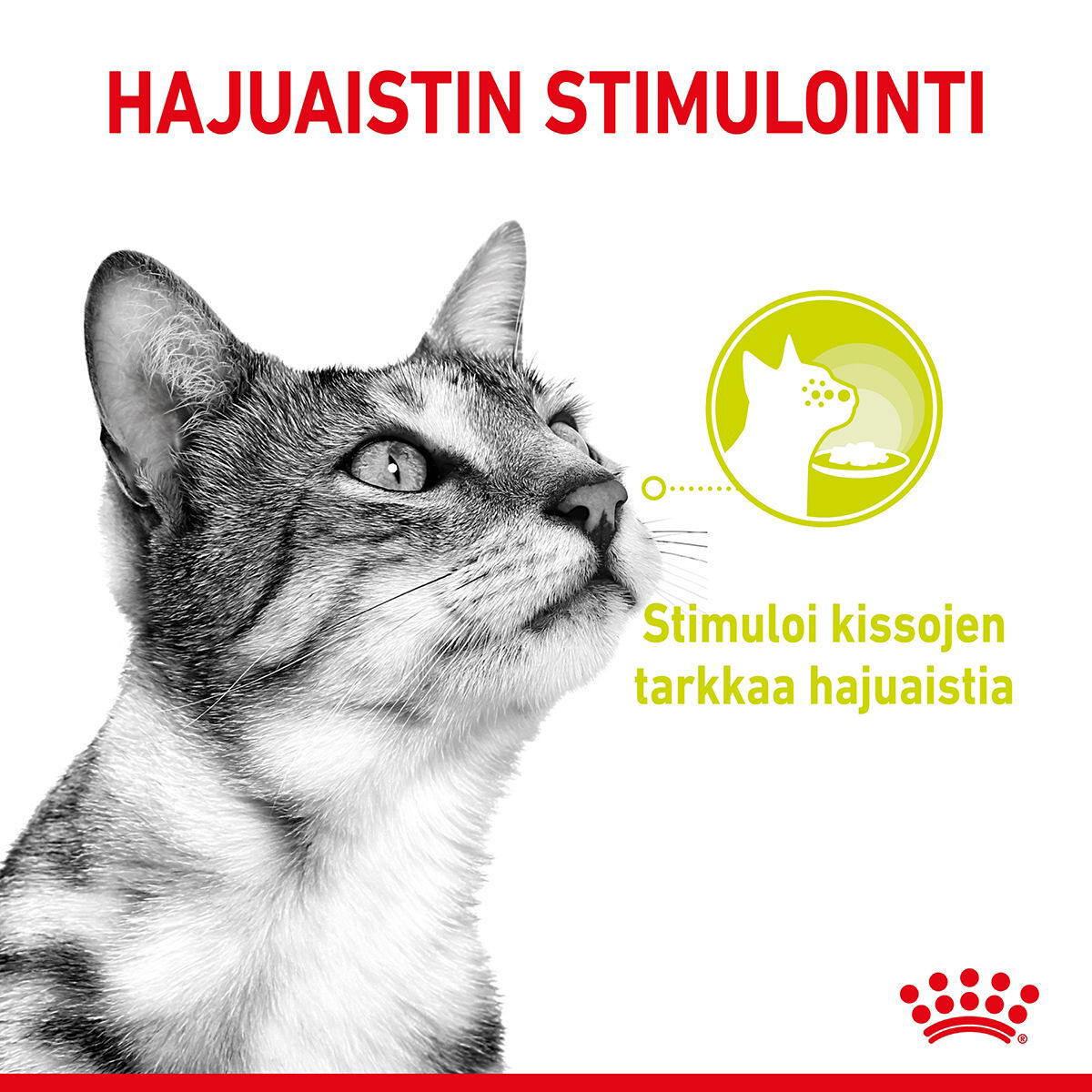 Royal Canin Sensory Mixed Box Gravy Adult kissan märkäruoka