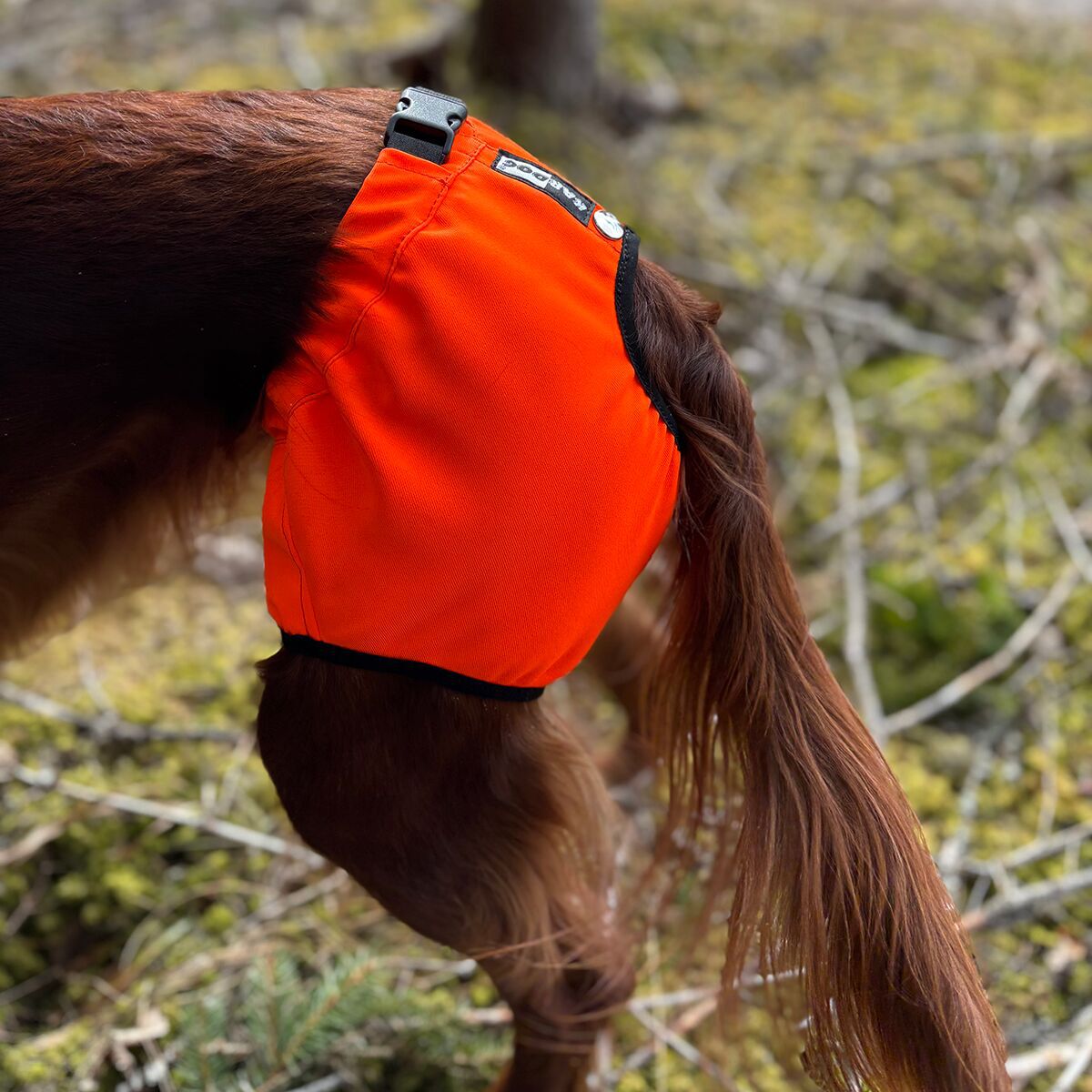 Koiran kivessuoja Kaapo, Kardog