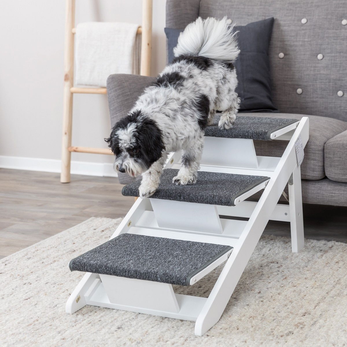 Koiran ramppi ja portaat Trixie, valkoinen