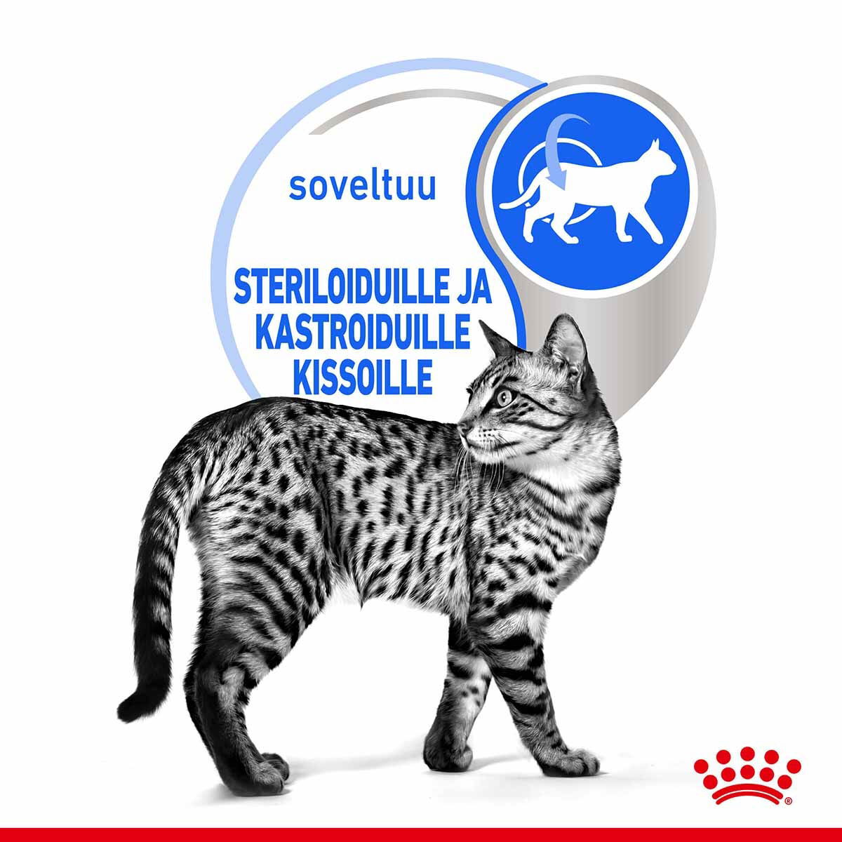 Royal Canin Indoor Sterilised Gravy Adult kissan märkäruoka
