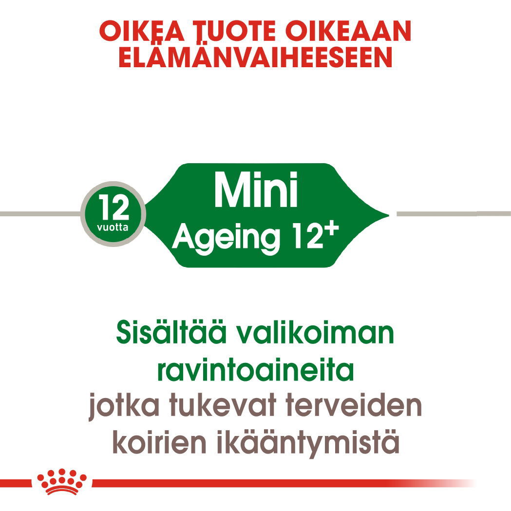 Royal   Canin Mini Ageing 12+ koiran kuivaruoka