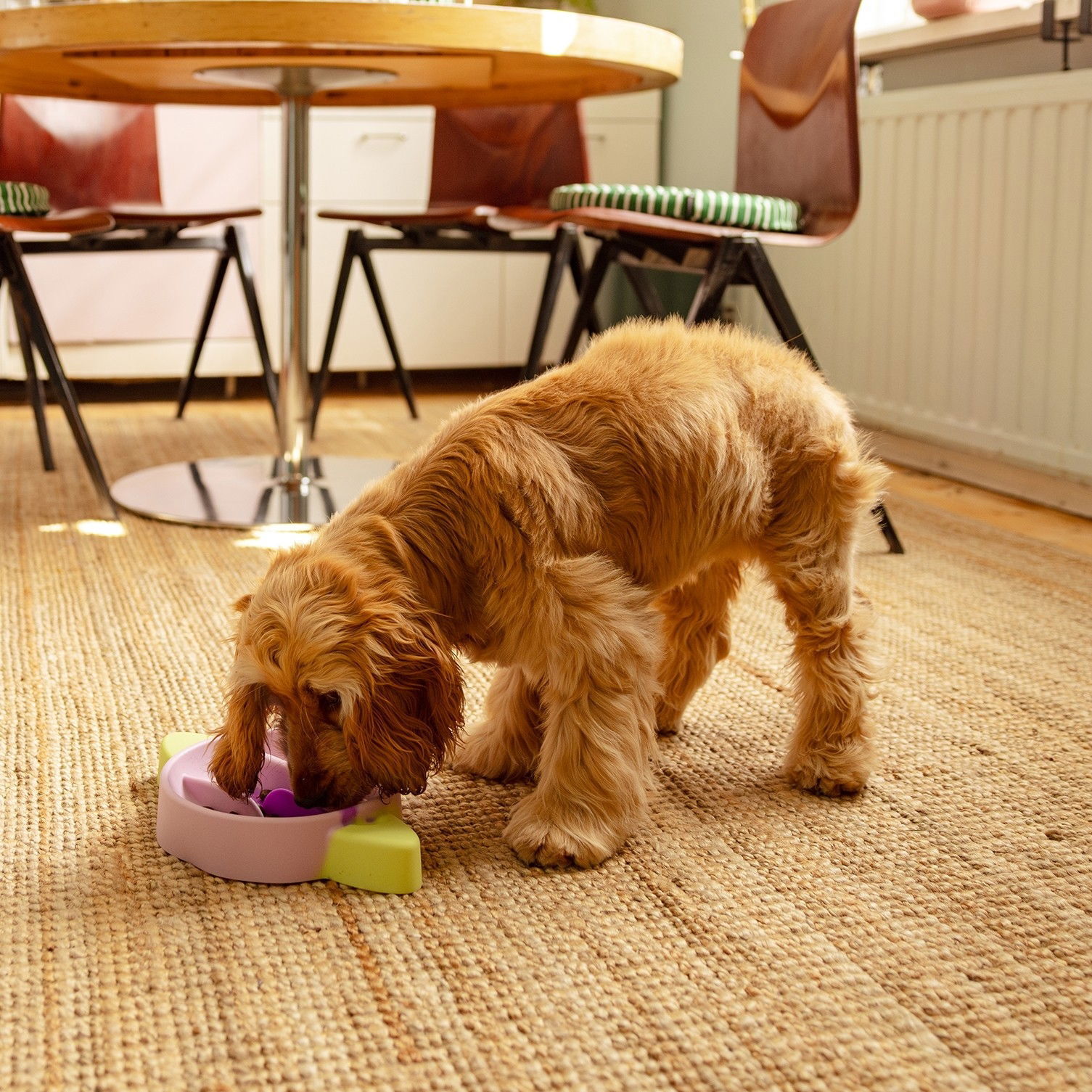 Little&Bigger Saturn silikoninen ahmimisenestokuppi kolmivärinen