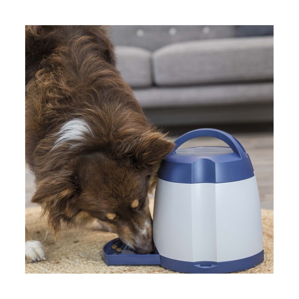 Trixie Dog Activity Memory Trainer-aktivointipeli