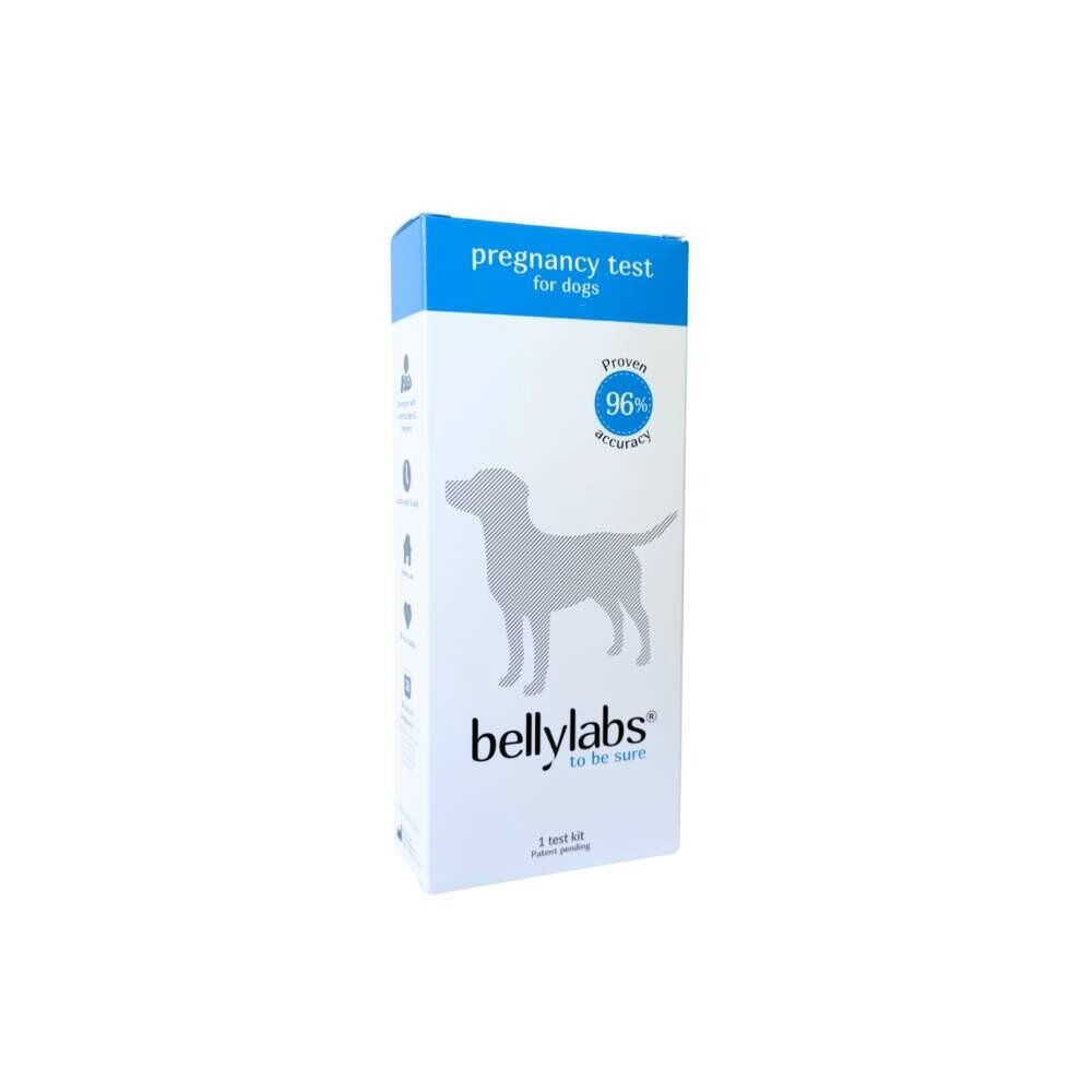 Bellylabs koirien tiineystesti