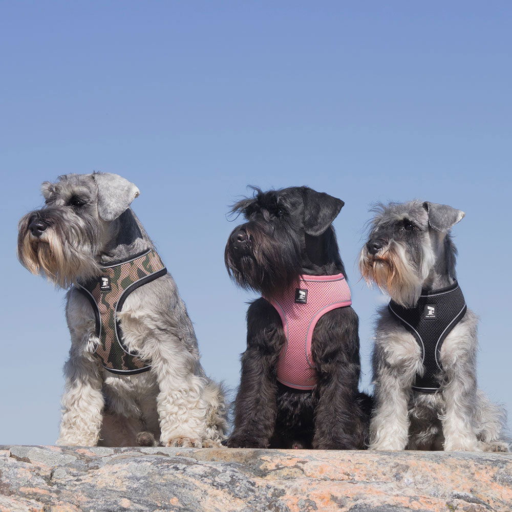 Feel Active Soft liivivaljas musta