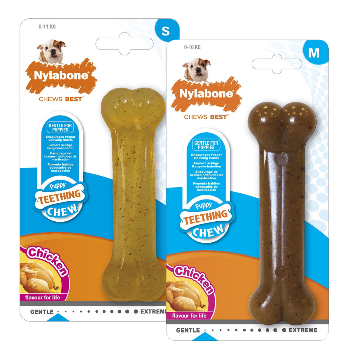 Nylabone Puppy Bone 