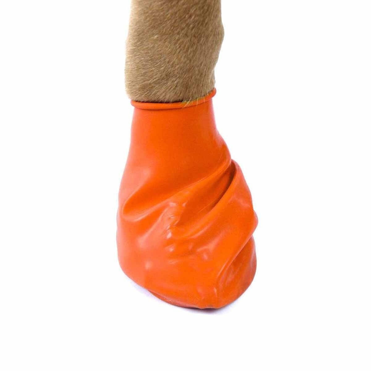 PawZ dog rubber boots color 12pcs
