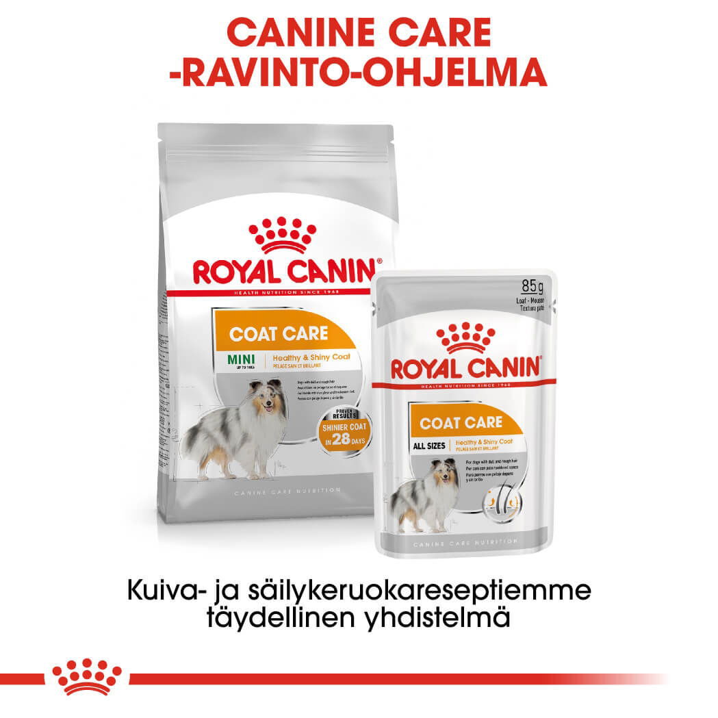 Royal Canin Coat Care Adult koiran märkäruoka